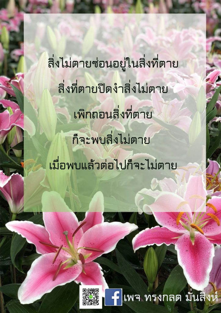 ภาพธรรมะ ม.ค. 2562 (4)