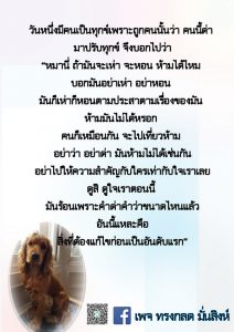 เมย2564_19