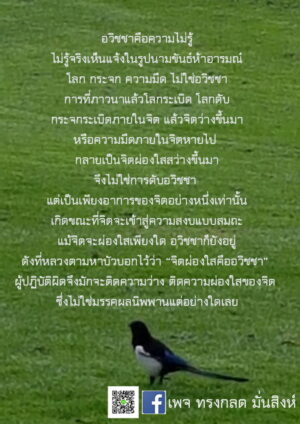 ภาพธรรมะ มิ.ย. 2562_35