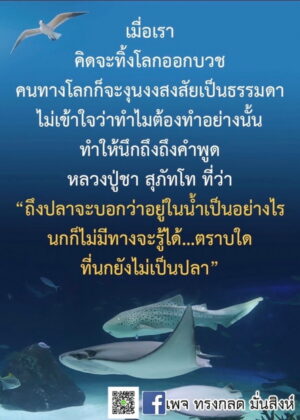 ภาพธรรมะธันวาคม2565_43